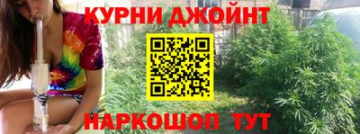a pvp Дубна