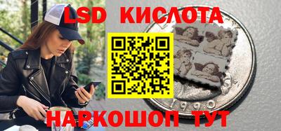 a pvp Дубна