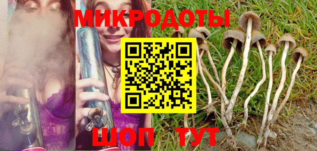 Галлюциногенные грибы GOLDEN TEACHER  Вход с VPN  Евпатория 